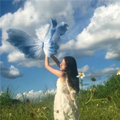 这不应发生在兽医身上